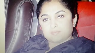 ناتجربہ کار ہسی CHIE ...